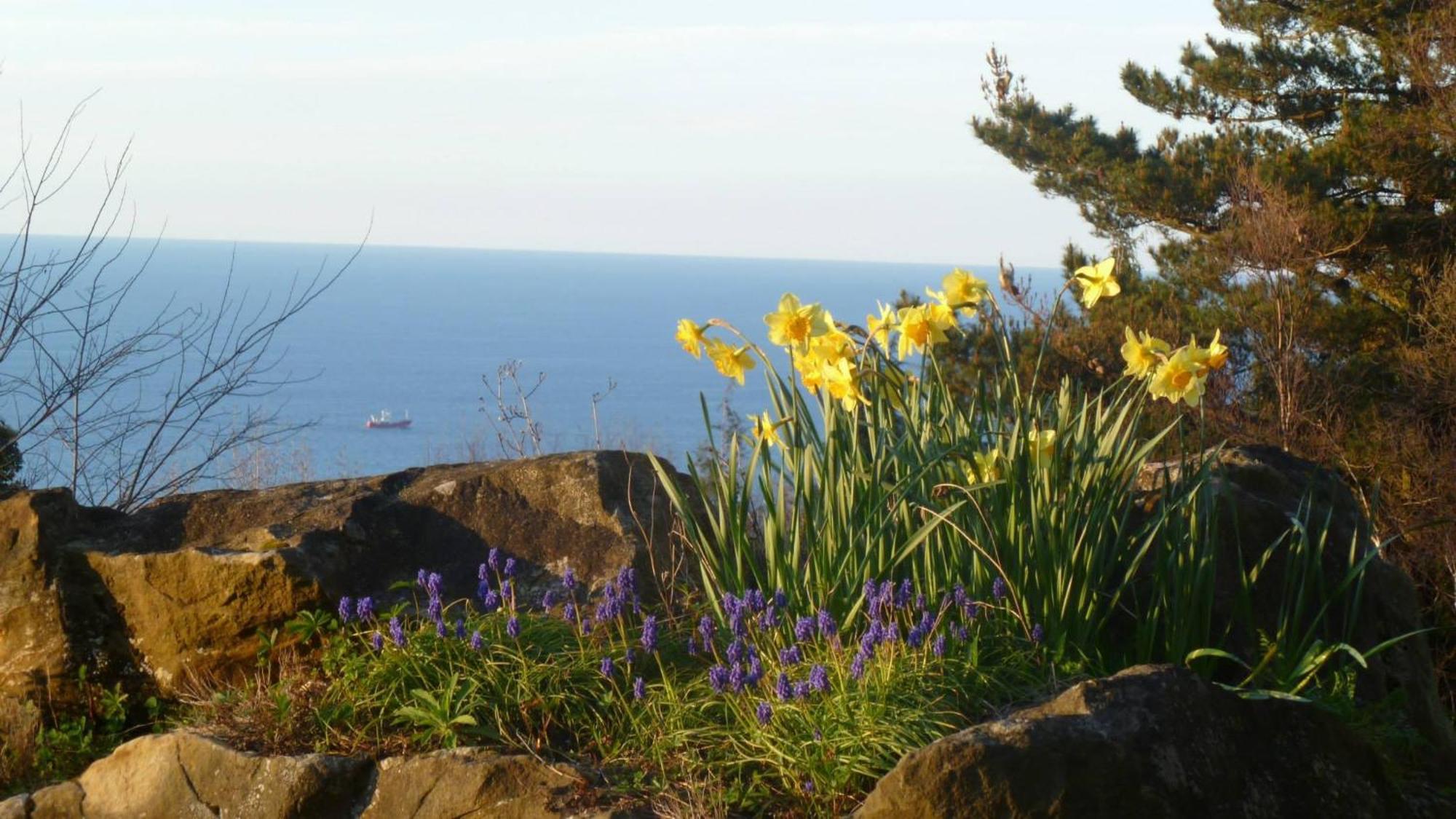 Apartamentos Mar Y Mar Agroturismo San Sebastián Eksteriør billede